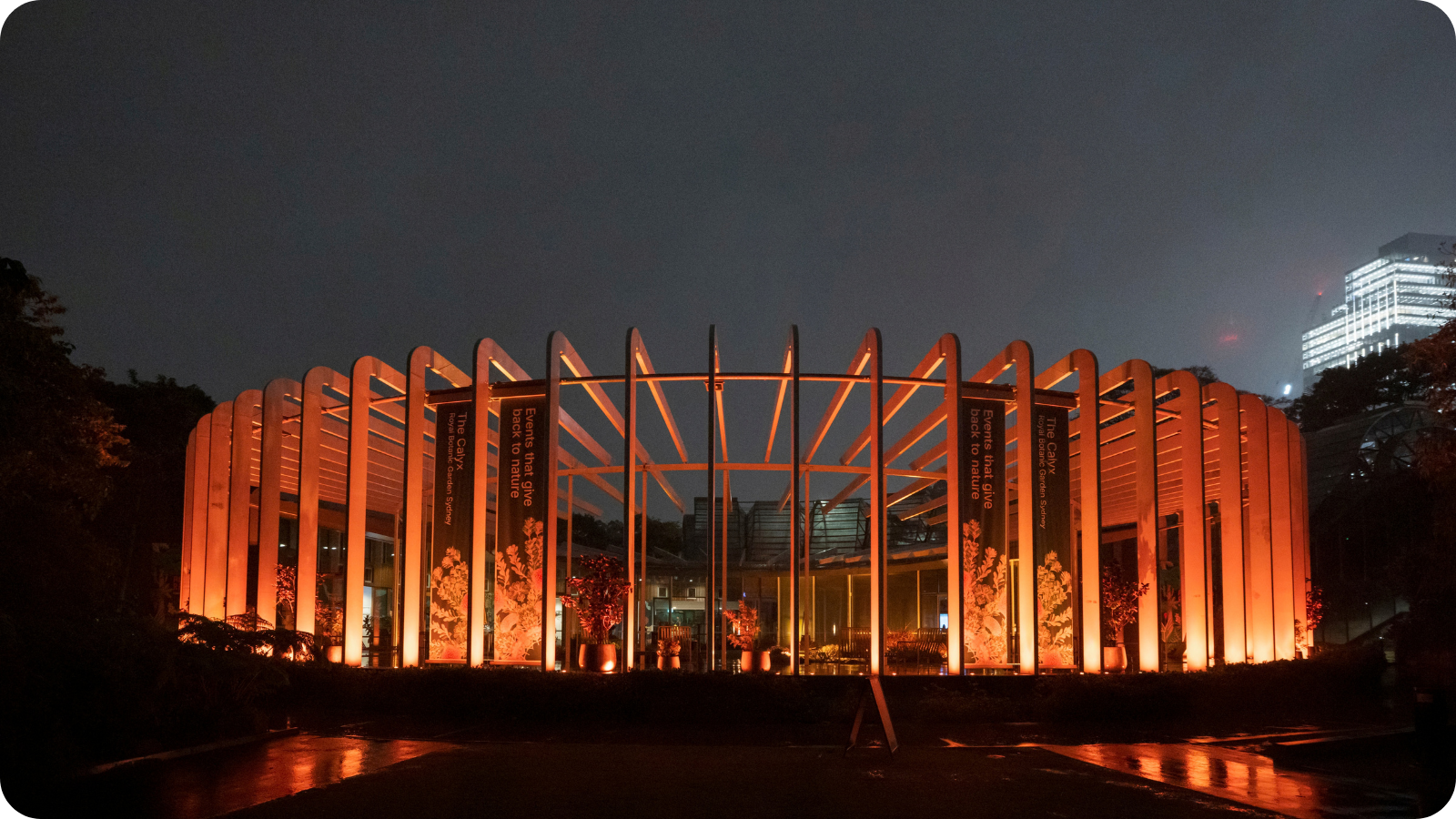 The Calyx 