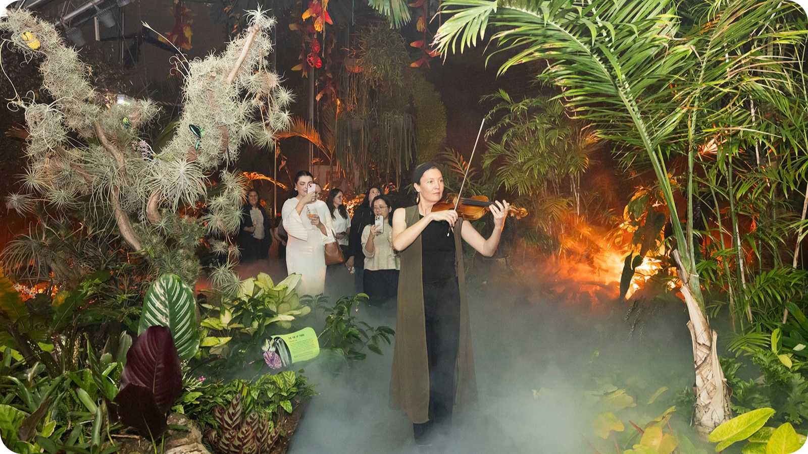 The Bowerbird Collective at Common Ground